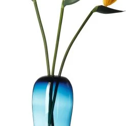 Leonardo Vase PAPAGENO 60 Cm Blau Luigi -Leonardo Vase shop 210 095303 2 K