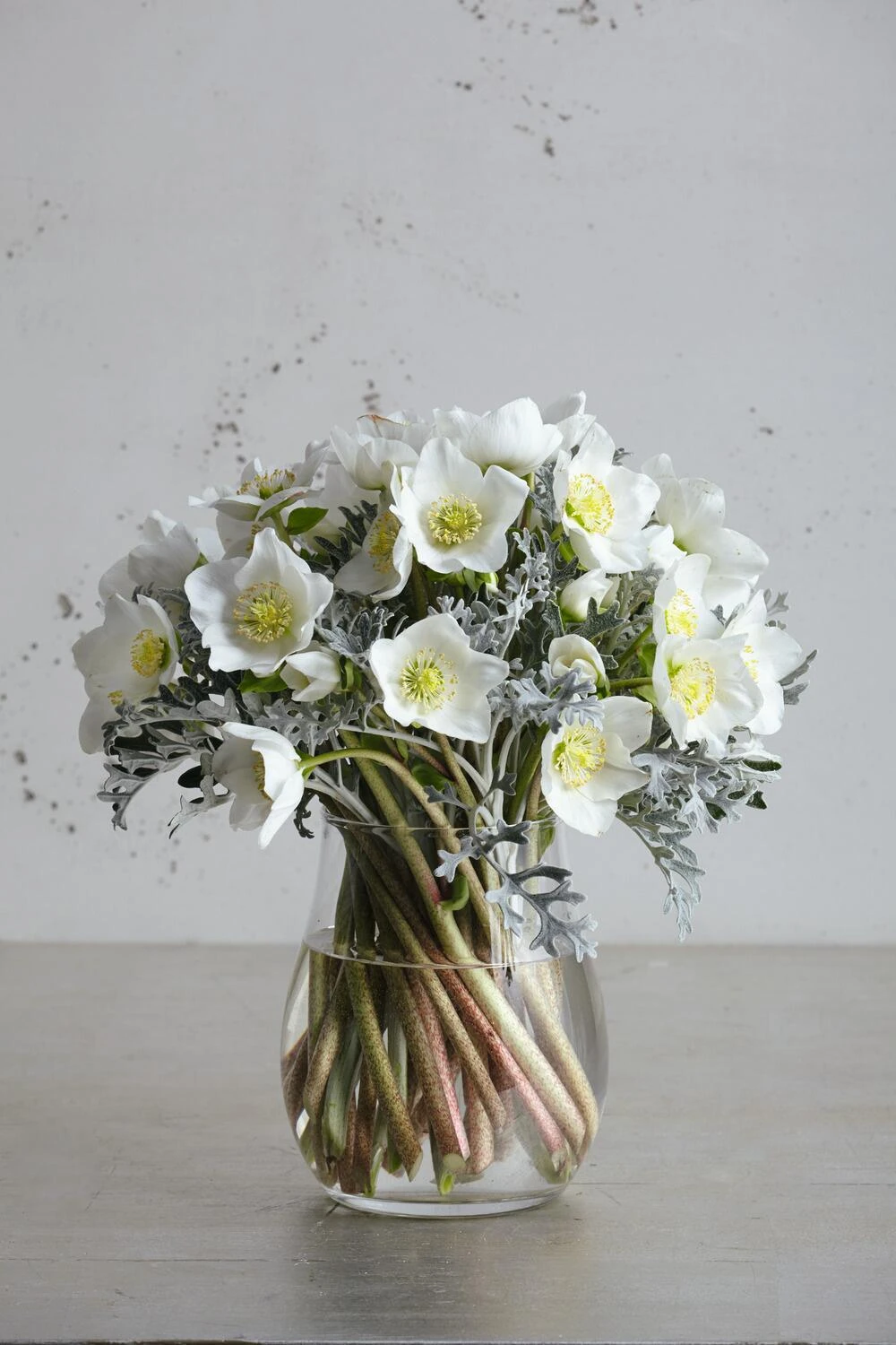 Leonardo Windlicht GIARDINO 22 Cm 4 Leonardo Windlicht GIARDINO 22 Cm – Bild 2