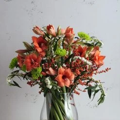 Leonardo Windlicht GIARDINO 22 Cm 7 Leonardo Windlicht GIARDINO 22 Cm -Leonardo Vase shop 210 GIARDINO Winter WL 010253 V02 H