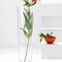 Leonardo Bodenvase KONISCH 70 Cm -Leonardo Vase shop 210 Konisch Vase 029557 H