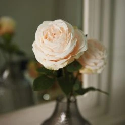 Leonardo Vase Poesia 40 Cm Grau 21 Leonardo Vase Poesia 40 Cm Grau -Leonardo Vase shop 210 POESIA Vase 018676 Rose 018686 87 mood V02 H