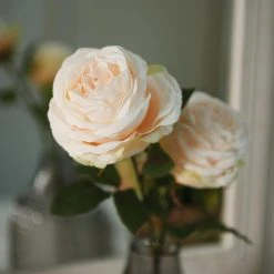 Leonardo Vase Poesia 40 Cm Grau 25 Leonardo Vase Poesia 40 Cm Grau -Leonardo Vase shop 210 POESIA Vase 018676 Rose 018686 87 mood V03 H