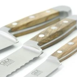 Güde Hartkäsemesser Alpha Olive -Leonardo Vase shop gruppenfoto olive 06 l